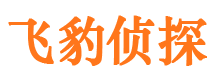 沁阳私家侦探公司